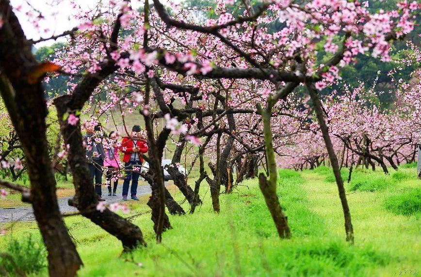 市场施工现场挖出人骨？四川乐山警方回应