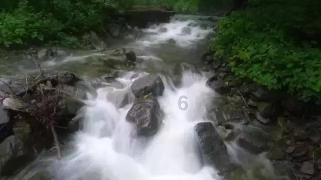狂野飙客4
